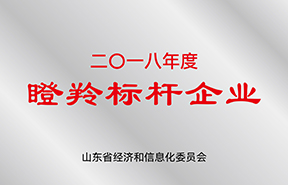 EVO视讯官网新材料股份有限公司