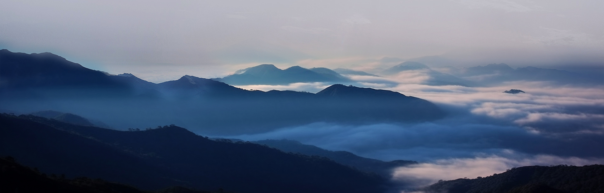 EVO视讯官网新材料股份有限公司