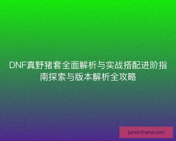 DNF真野猪套全面解析与实战搭配进阶指南探索与版本解析全攻略